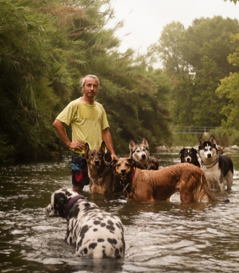 Jesus Diaz, Equilibrium dogs, terapia conductual a domicilio